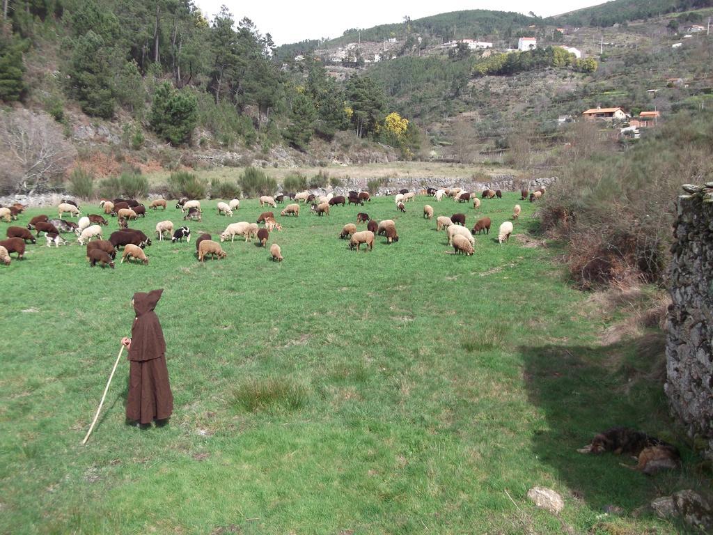 Casa Do Adro - Serra Da Estrela *